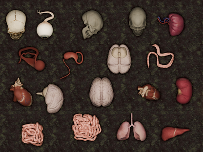 210 Top-Down Halloween Assets