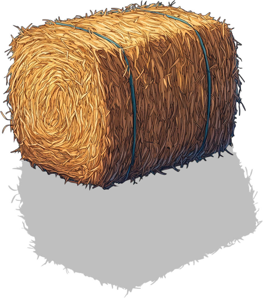 52 Bale of Hay