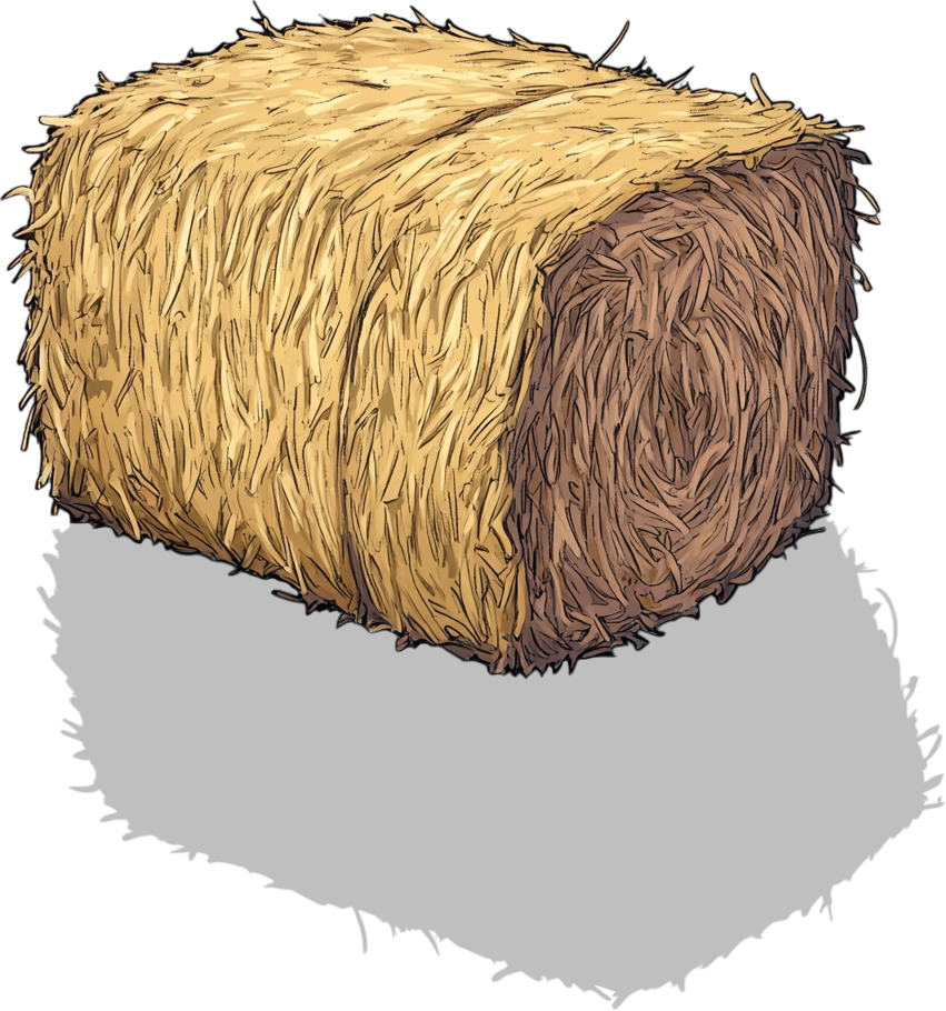 52 Bale of Hay