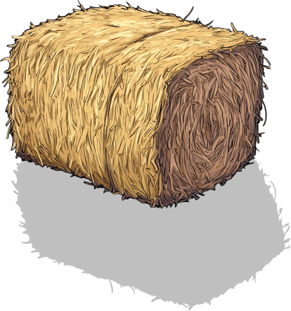 52 Bale of Hay